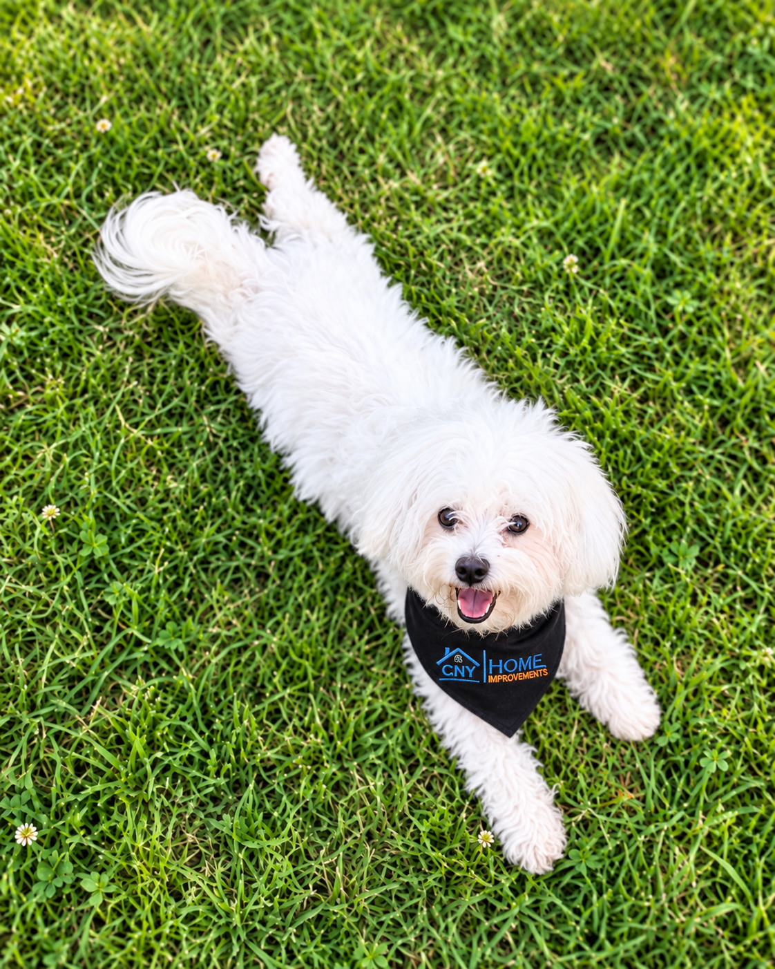 Chewy
